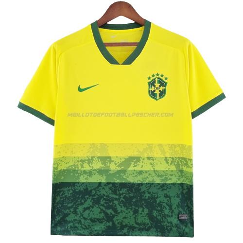 maillot Édition spéciale brésil jaune vert bx3 2022